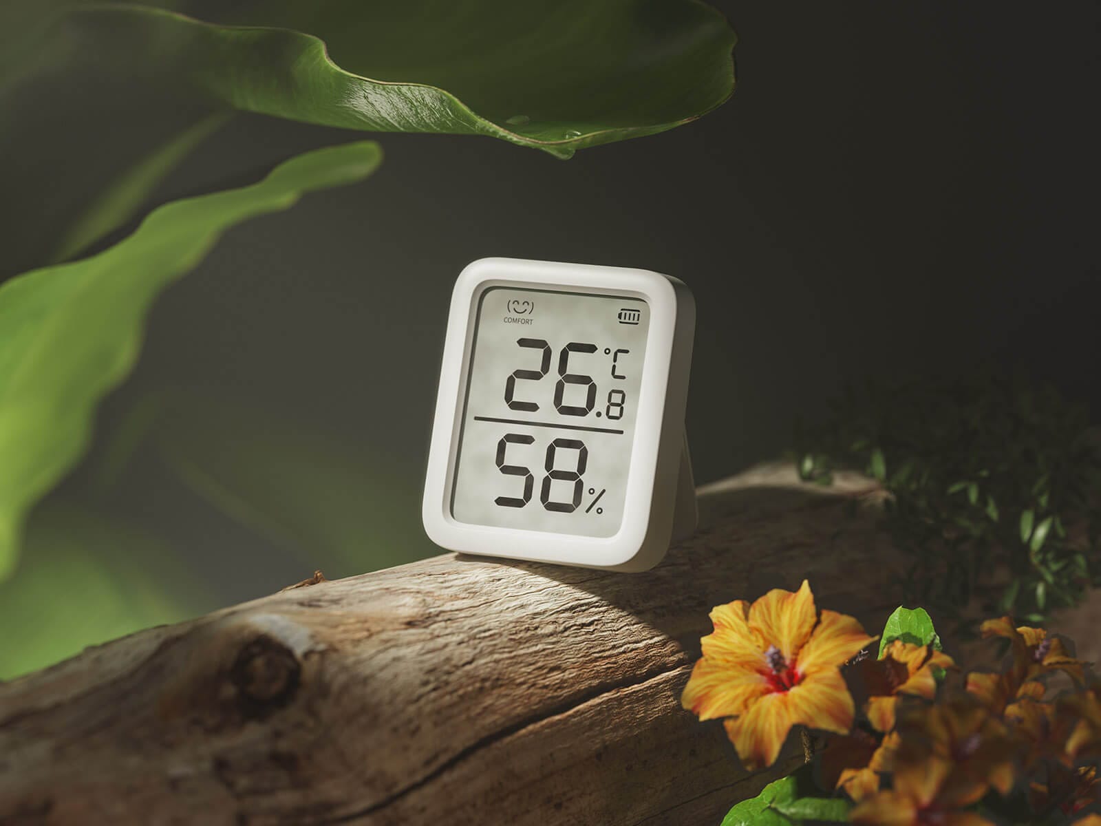 SwitchBot Meter Plus Opis Galerija