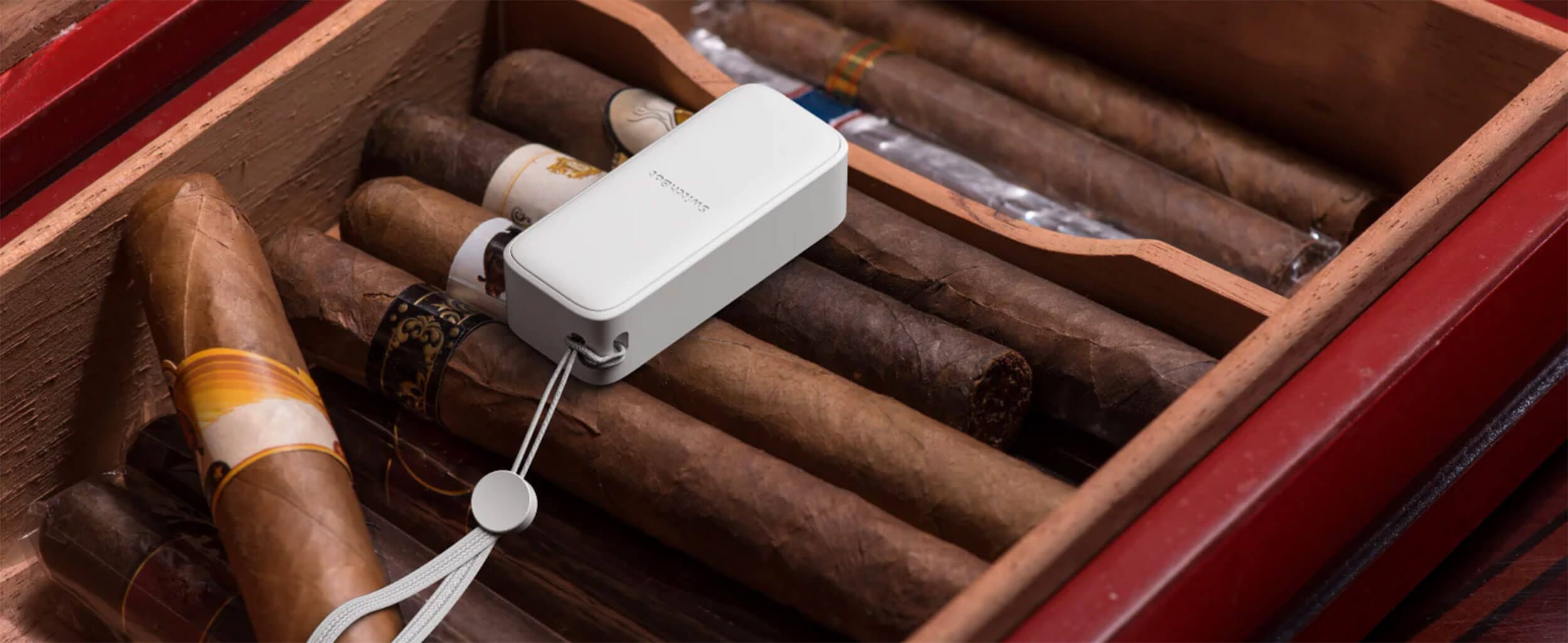 SwitchBot Outdoor Meter Vodootporen Senzor za Temperatura i Vlaga Vo Kutija so Puri
