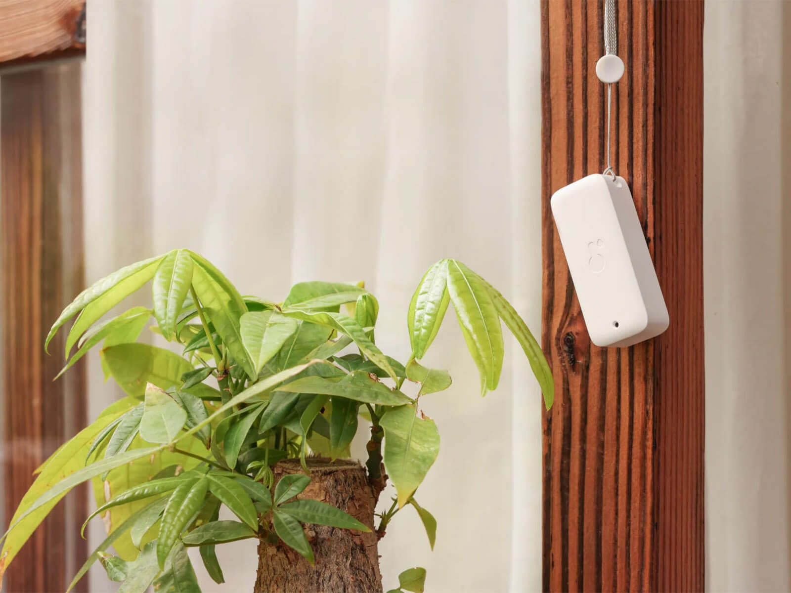 SwitchBot Outdoor meter Nadvoresen Senzor za Temperatura i Vlaga Galerija