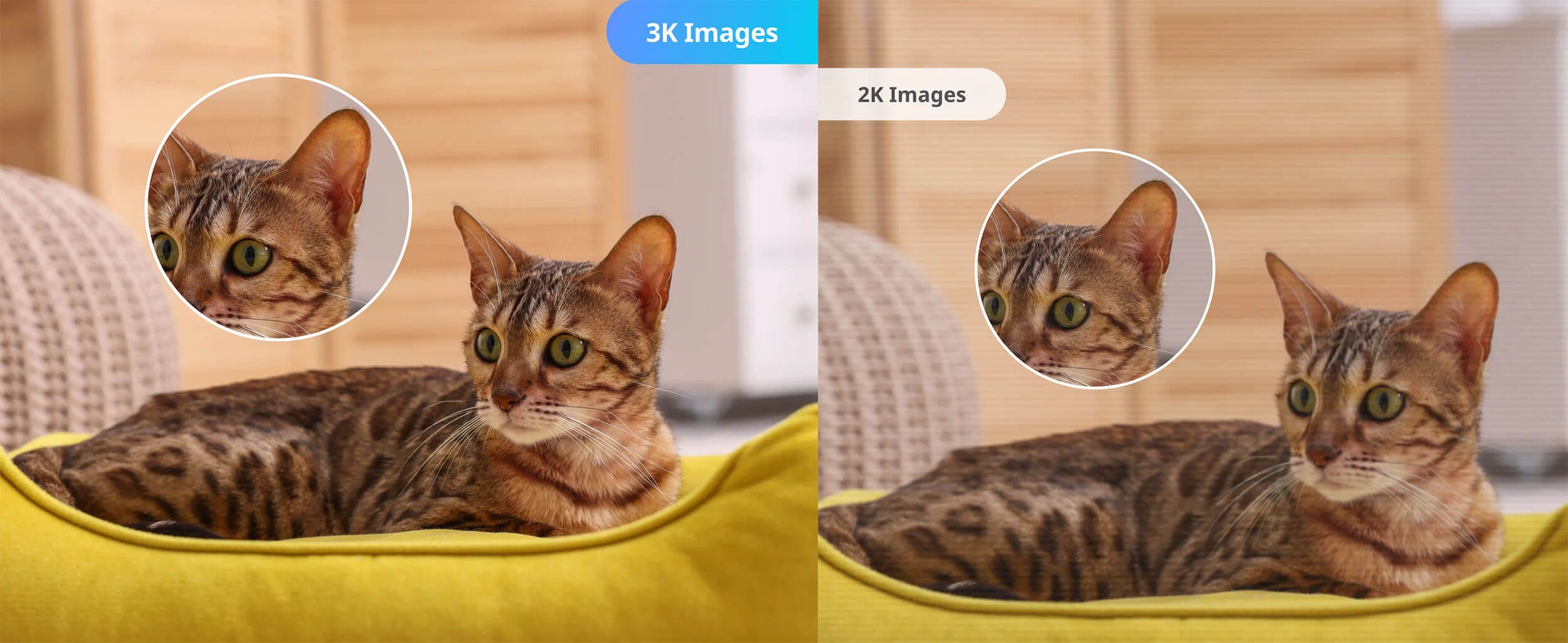 SwitchBot Pan/Tilt Camera Plus 3K Panoramska 3K Rezolucija